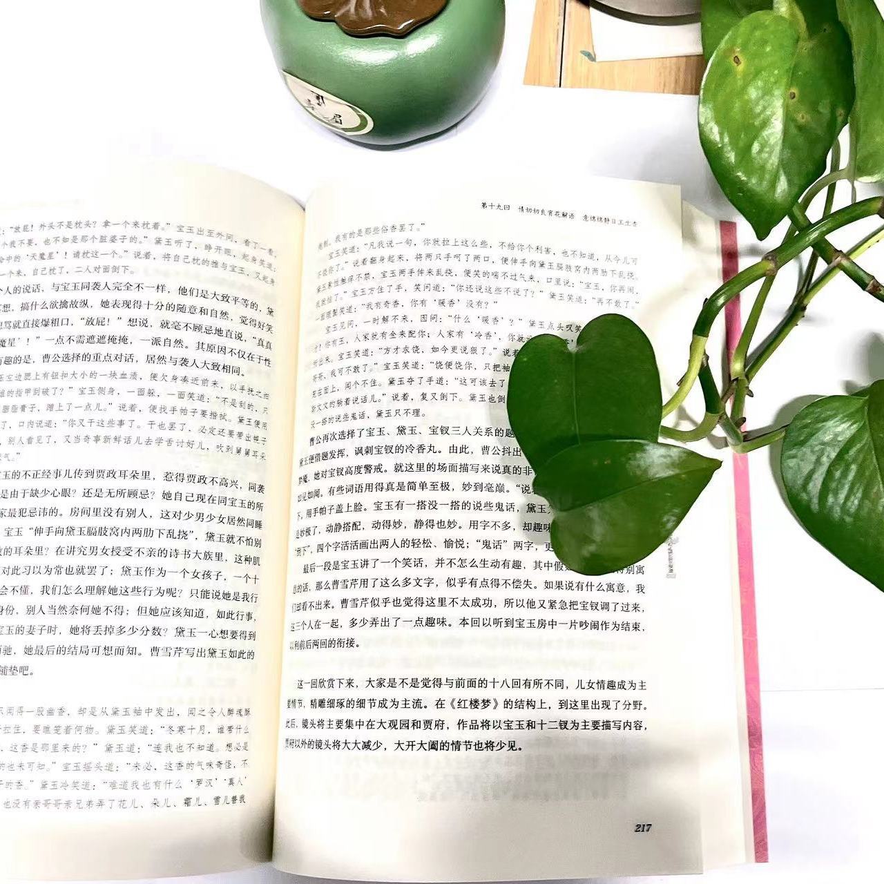 红楼梦2.jpg